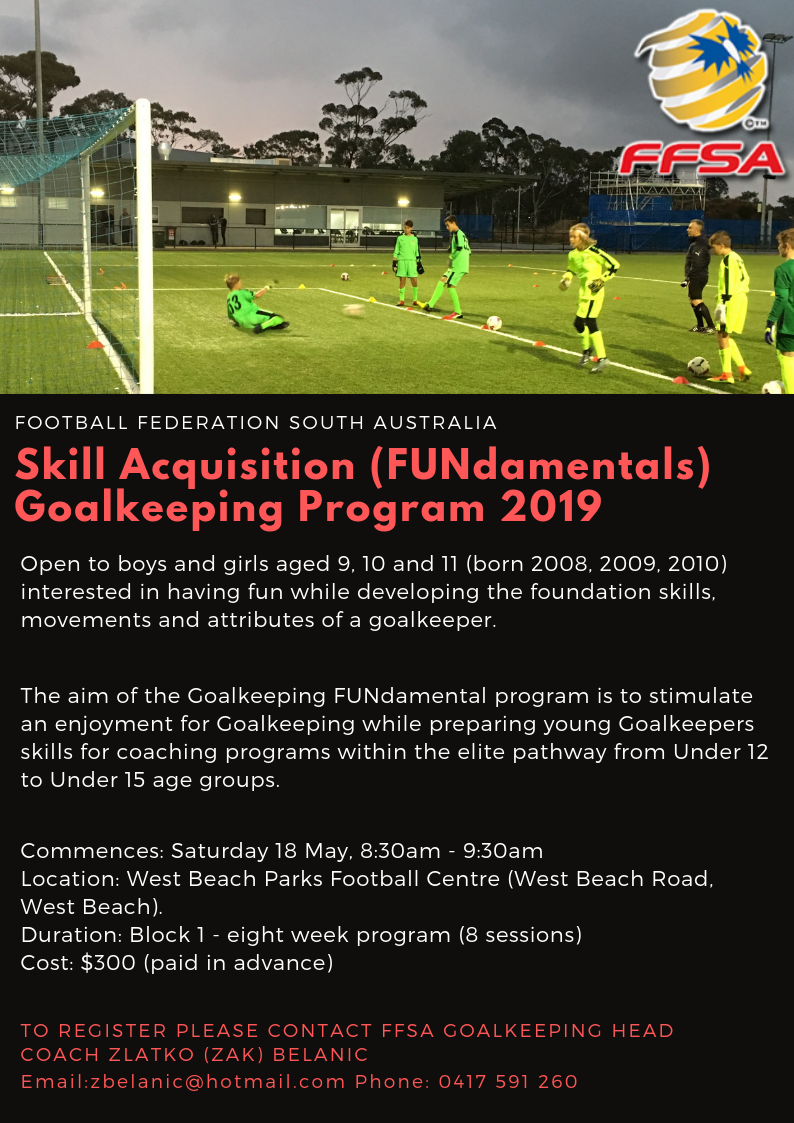 Fundamentals Goalkeeping Program 