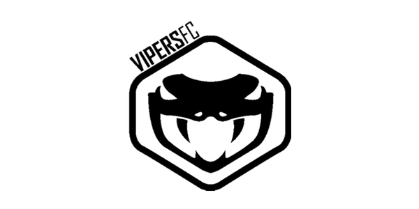 Vipers Logo 600x300