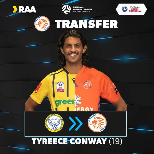 Conway Conway to Sturt Lions