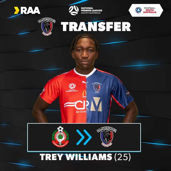 Trey Williams Williams to South